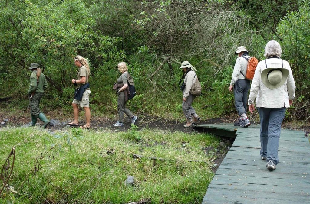 Nature on foot Tour To Arusha National Park