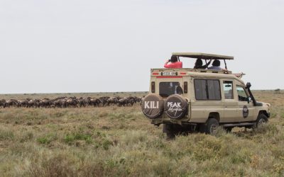 10 Days Follow The Wildebeest Migration Safari (July to October)