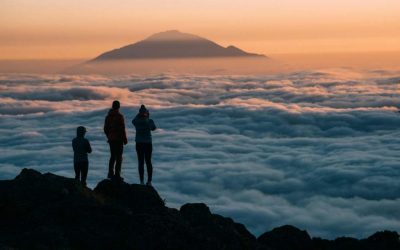 11 Days Machame Route Climb and Wildlife Safari