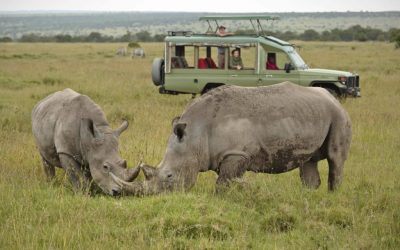 12 Days Bush to Beach Safari In Kenya  & Tanzania