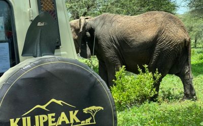 2 Days Camping Safari to Tarangire and Ngorongoro Crater