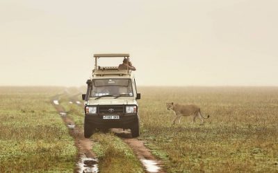 3 Day Tanzania Lodge Safari Tarangire & Ngorongoro Crater