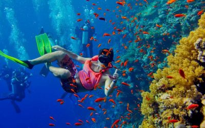 3 Days Snorkeling Excursion Tour In Zanzibar Beach