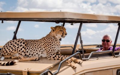 4 Days Kenya – Masai Mara | Cheetah Safari Itinerary