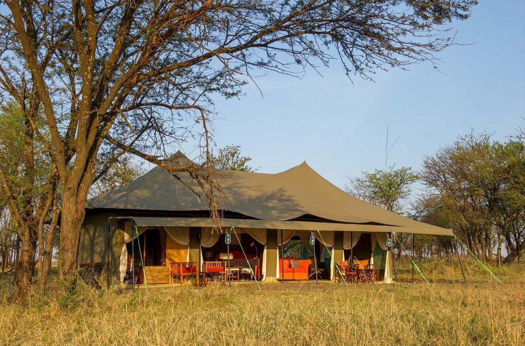 7 Day Best Tanzania Luxury Safari