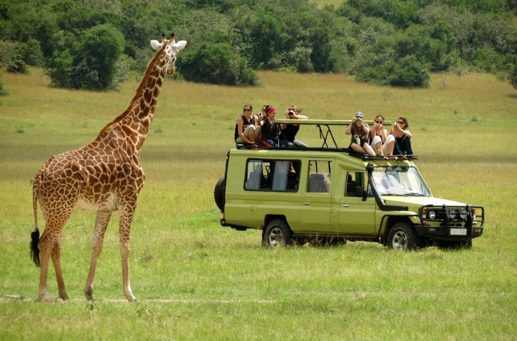 7 Days Private Family Safari Experience in Tanzania