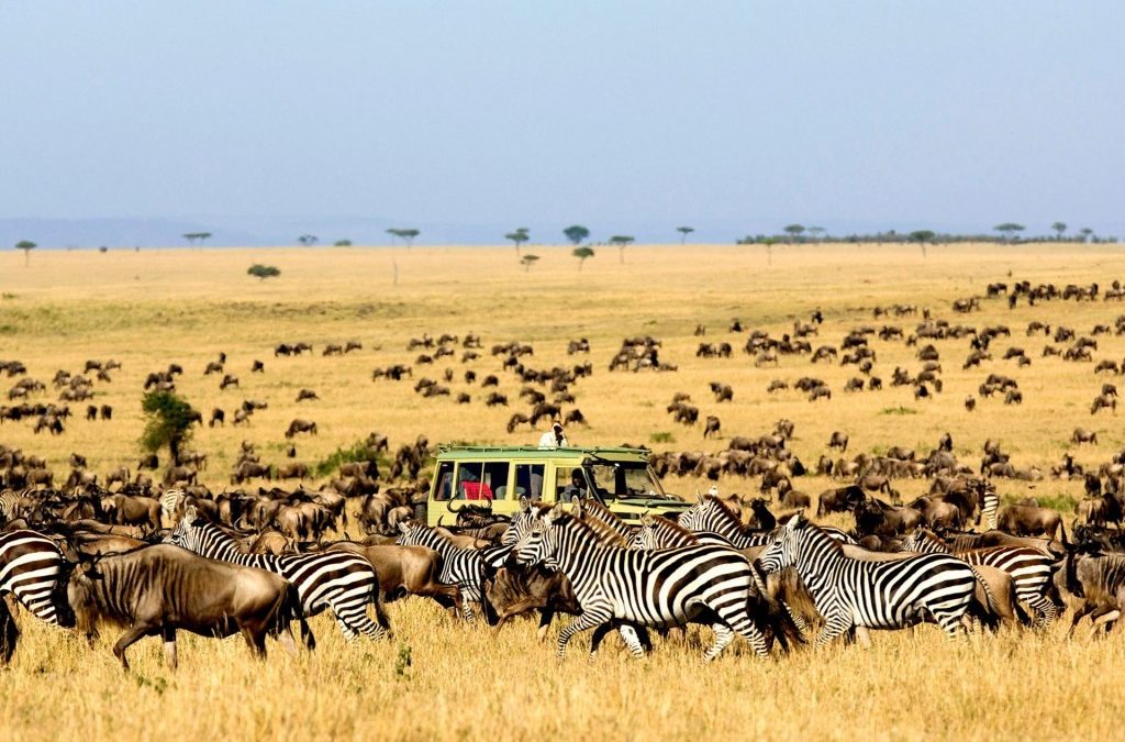 7 Days Serengeti Wildebeest Migration Group Join Safari