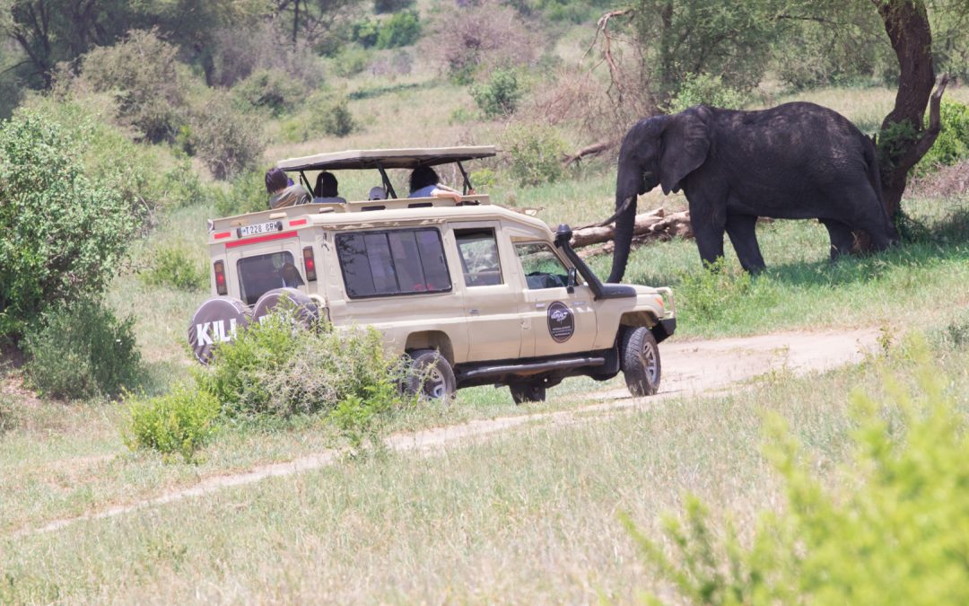 9 Days Best Tanzania Hakuna Matata Safari