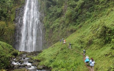 Materuni Village Waterfalls and Coffee Lesson