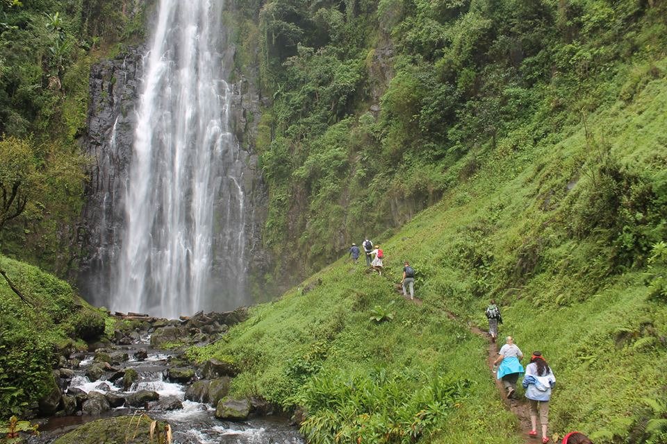 Materuni Village Waterfalls and Coffee Lesson