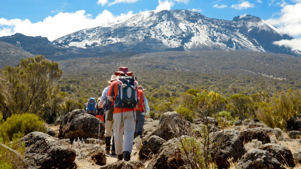 Mount Kilimanjaro Trekking - Lemosho Route - 7 Days