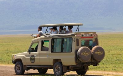 Ngorongoro Crater Day Tour – Group Joining Safari