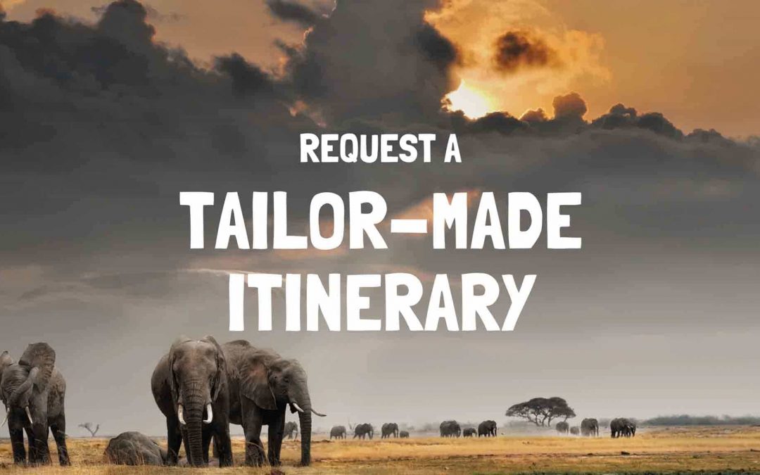 Tanzania Tailor-made safari Holidays