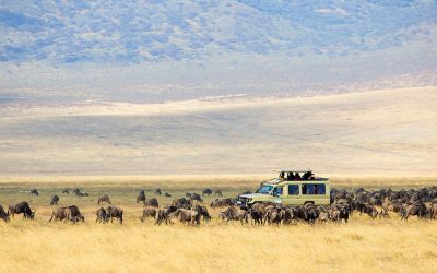 The Great Serengeti Wildebeest Migration Calendar