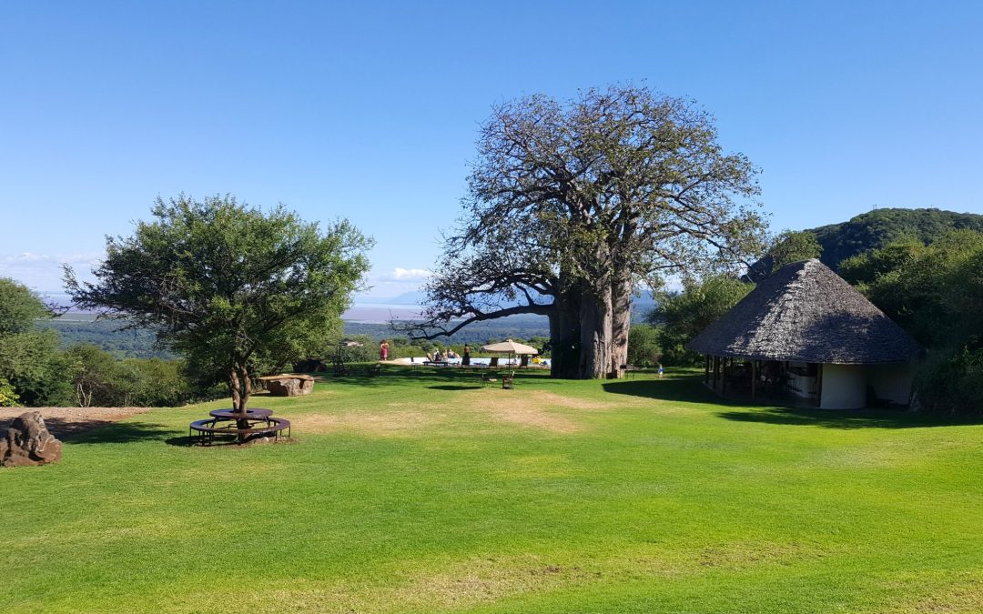 Migombani campsite